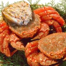 자연산 자숙 털게 러시아산 밤송이게 찜발송 수율A급, 1박스, 1.2kg(생물기준 1미/찜발송)