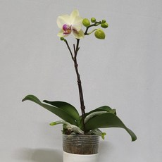 7d83dd96068805bbfb4079d663b800f7fea10a74092a461182e0105c6de1.jpg
