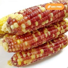 07df89caa2ec13bf86fd1f54e702740cc3fe1bb9a2fe6ac7b47c09abc0e9.jpg