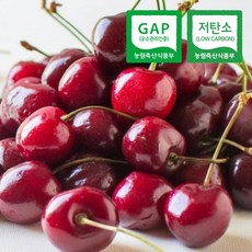 스윗쿡 과일앤 국산 경주 체리