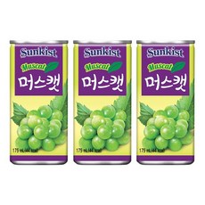 해태음료 썬키스트 머스캣 175ml 60캔, 60개