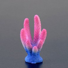 코리도라스피규어