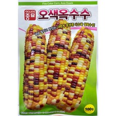 오색옥수수
