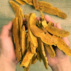 국내산 유기농 참나무 상황버섯 100g