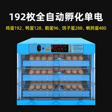 f0258a42195a175da95725e17585fef50244177769950ba4cd1eddd82e14.jpg