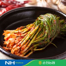 순천농협 [순천농협] 남도의 맛! 파김치 1kg, 1box