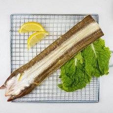 반건조바다장어