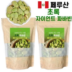 초록 파바빈 페루 자이언트 콩, 420g, 2팩