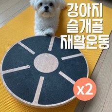  스몰티즈 강아지 짐볼 밸런스보드, 주인과함께, 2개 