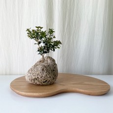 석부작