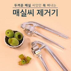 매실씨앗