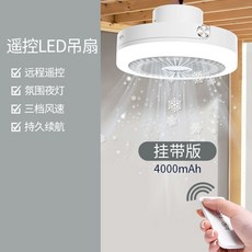 올리선풍기