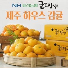 제주40tv