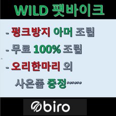 추천10바이로와일드