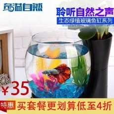 f2e5881571b5b0f685b993f8ab9fe94eba9cbd04b45c6d3b091f1c31c717.jpeg
