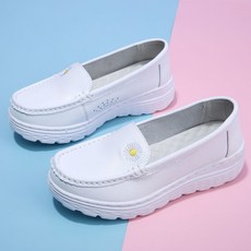 로브니크간호화