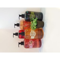 더바디샵 대용량 바디워시 750ml 5종 (딸기 자몽 모링가 올리브 망고), 딸기