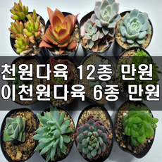 ca3bb4df603ccbfa1e4e98ad486602538a87b2eb265e6b0a1fda3565f4ee.png