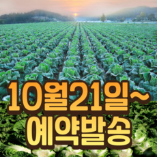 예약10월21일부터 고랭지 명품 절임배추 강원도 횡성 둔내 산지직송 당일배송