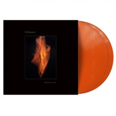 Pallbearer LP판 Vinyl - Mind Burns Alive Orange Crush - 크러쉬엘피