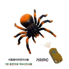 거미rc