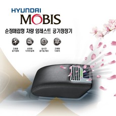 올뉴카니발로워암