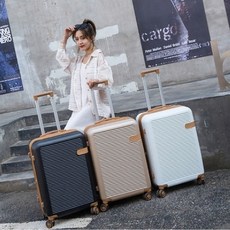 17인치캐리어