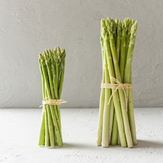 베이비 아스파라거스 300g/ 500g 아삭한 식감 부드러운향 실속형 작은크기, 1박스