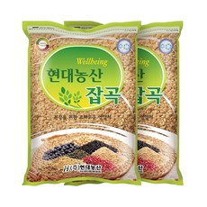 현대농산 국산 현미찹쌀 찰현미 4kg (2kgx2봉), 1개, 총 4kg