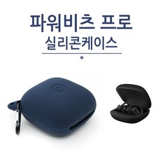 애플비츠스튜디오버즈