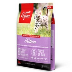  오리젠 키튼 5.4kg, 1개 