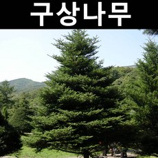 937a40360f030fe9cf32c9cce915c51decae96dc8275bcf0596cbfb94d93.jpg