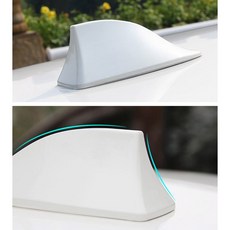 샤크안테나모형