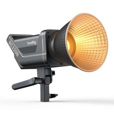 rc220b