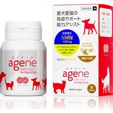 일본산 10kg미만 강아지 NMN 고양이 NMN 600mg 30정 1개 - nuprimewr-2