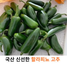 국내산 신선한 할라피뇨 고추 500g 1kg 3kg 5kg 10kg 국산 할라피뇨 생 고추 매운고추 피클용 B급 대용량 5kg 10kg 업소용, 1박스