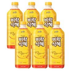비트식혜