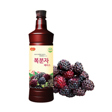 광야 늘감사 복분자 베이스 복분자감식초, 1개, 970ml