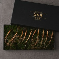 평창산양삼 상산재 산양삼 5년근 선물세트