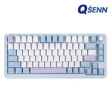QSENN R75 풀알루미늄 풀윤활 가스켓 유무선 기계식 키보드 화이트 민트축 V1, 퍼플축, 블루퍼플