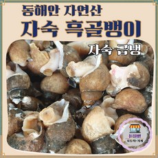 [돋을볕] 국내산 자연산 자숙 골뱅이 동해안 흑골뱅이 (급냉), 2개, 중소 1kg (50-80미)