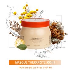 케라스타즈 마지스트랄 마스크 500ml 부시시한 모발을 차분하게관리