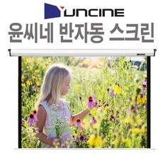 100인치반자동스크린