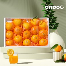 [온도씨]제주 만감류 혼합선물세트 한라봉+천혜향+레드향 4.5kg 중과(18-21과 내외), 1개
