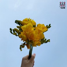 53d87a17774238b42028e06eff81bf93e4747e84ea170800a75760b3512e.jpg