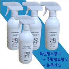 신통방통 욕실 청소왕 +주방 청소왕 +분무기(세트구성), 욕실용4+주방2+분무기3, 1개