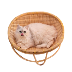 카타바구 강아지방석 고양이 방석 원형 쿠션, 1개