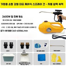 고압스팀기 청소기 분사기 살균기 가정용 고압 세척기 세차건, A. 2600W