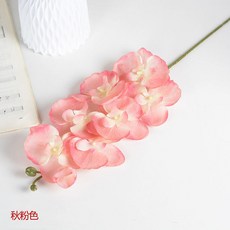 필름카메라흑백필름