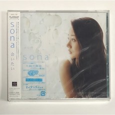윤손하
